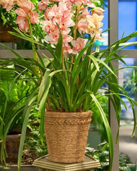 家裝奇思妙想DIY 繩索顯神奇(3)