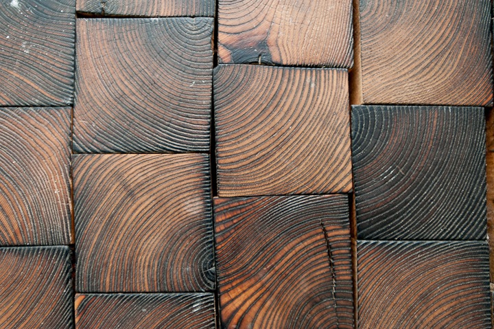 回歸自然CurvedHus創意造型住宅