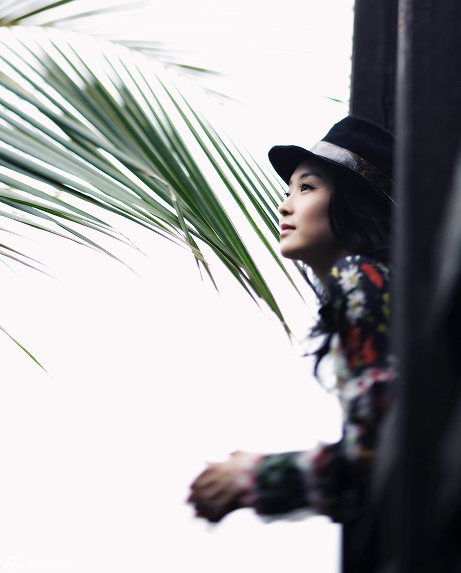 王艷清新寫真盡顯優雅