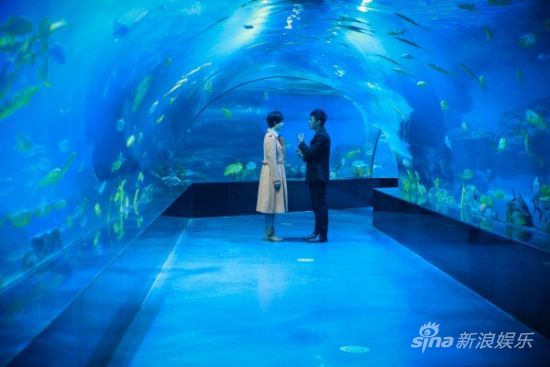 "美麗背后"杜淳張儷推高考特輯視頻