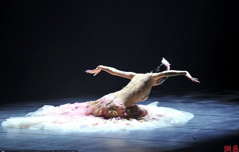 楊麗萍南昌奉獻謝幕之作