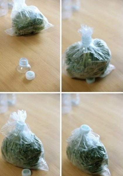 韓國主婦的冰箱空間利用小訣竅