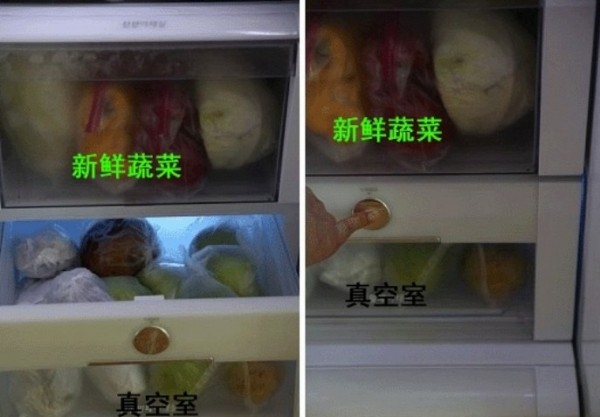 韓國主婦的冰箱空間利用小訣竅