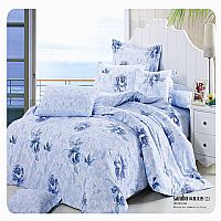 風雅淡香(蘭)Y-001藍