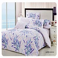 情牽薰衣草Y-021