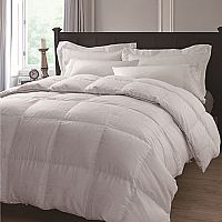 情迷綻放大提花羽絨被(冬