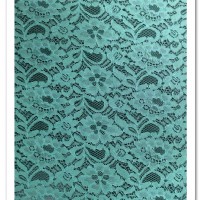 cy-4003蕾絲繡花加工