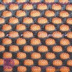 三明治網眼布