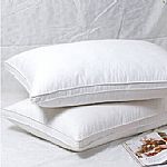 酒店羽絲絨枕芯