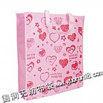 吉林樺甸市國潤無紡布袋手提袋紙杯